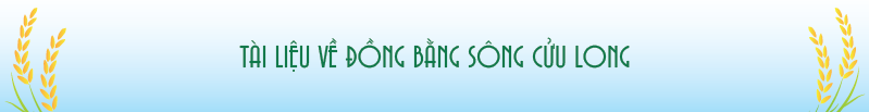 PHẦN 5