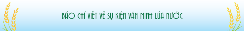 PHẦN 7