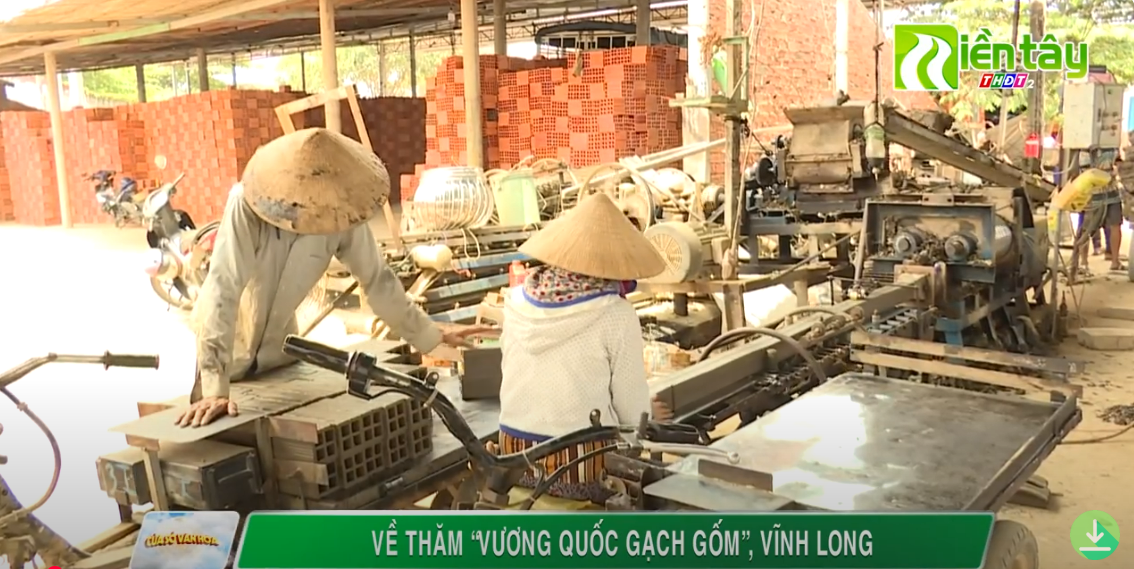 DT-gom VL