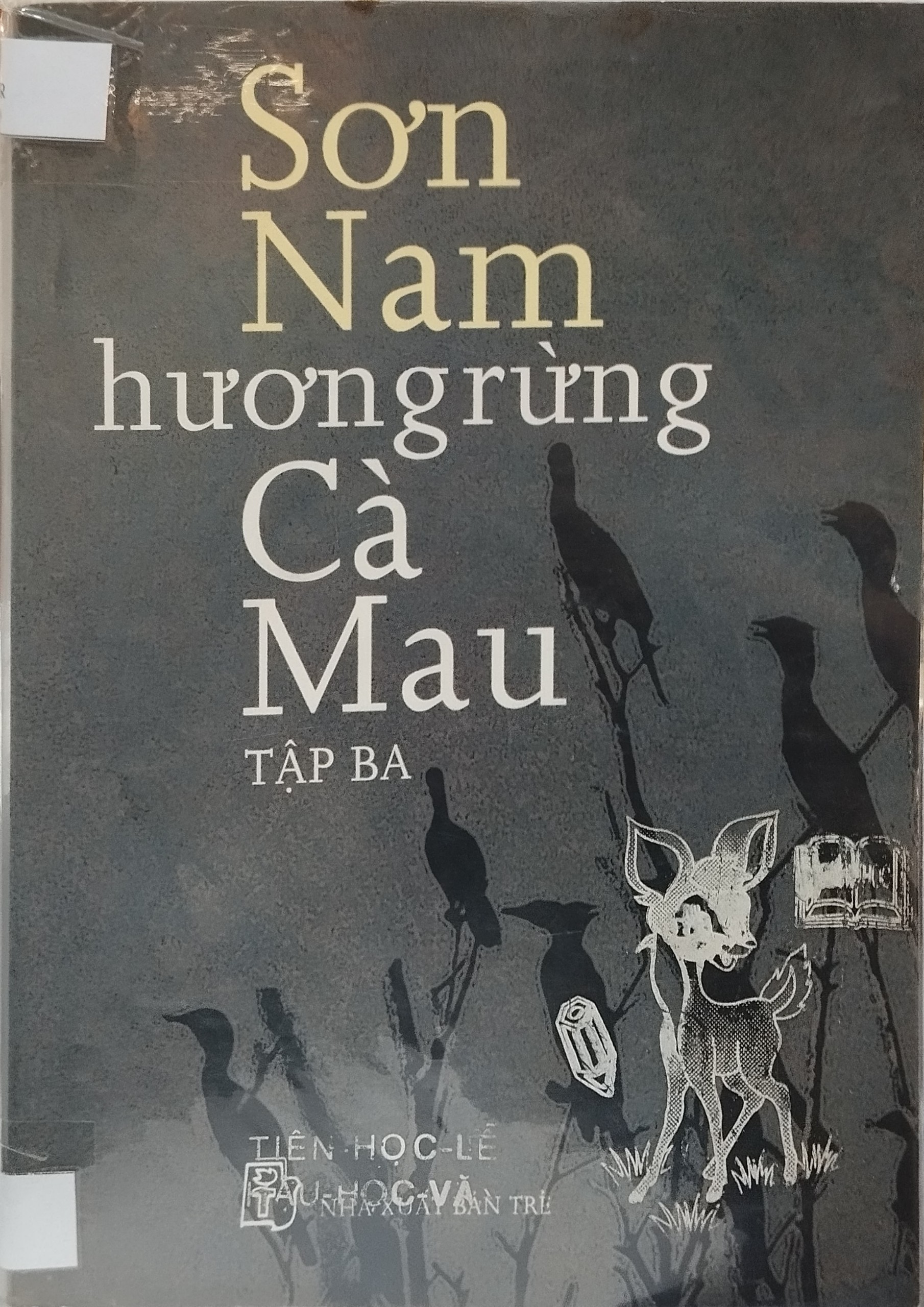 271_huongrungcamauT3