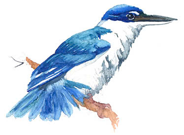 sakhoangco