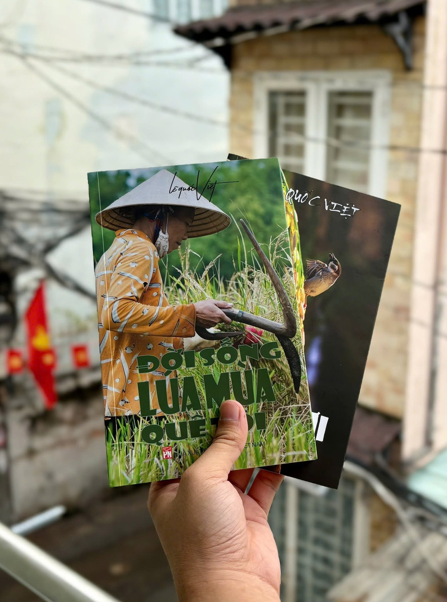 nghe-ong-tu-lua-mua-4